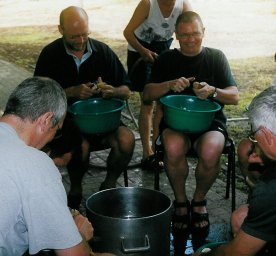 diensten1.jpg (538kb)